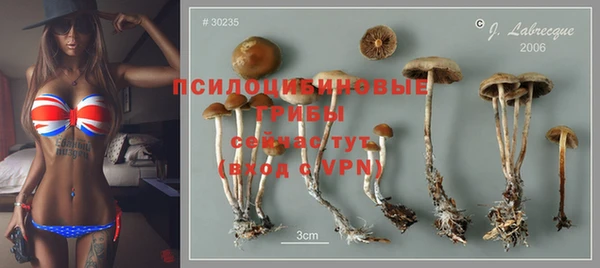 дурь Алексеевка