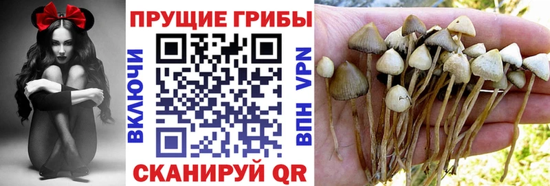 Псилоцибиновые грибы мицелий  Калачинск 