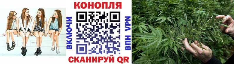 наркотики  Калачинск  Каннабис Amnesia 